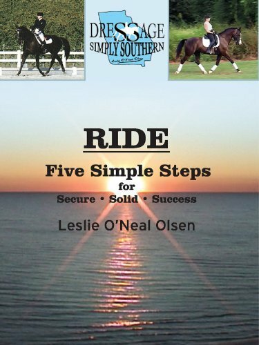 Постер The Ride