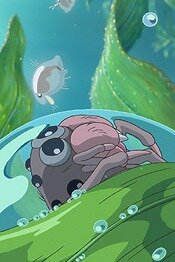 Постер Водяной паук Мон-мон