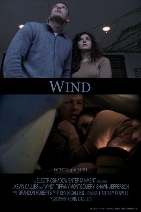 Постер Wind