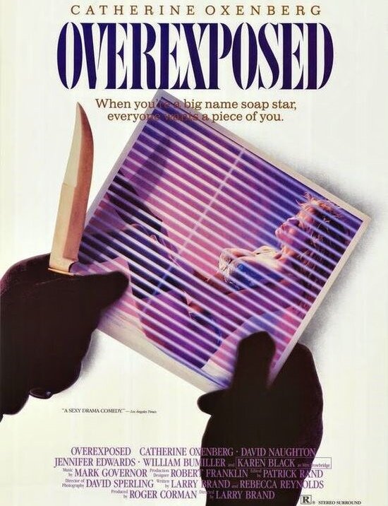 Постер Жертва успеха