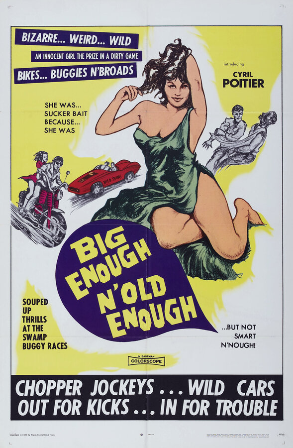 Постер Бунтари из ада