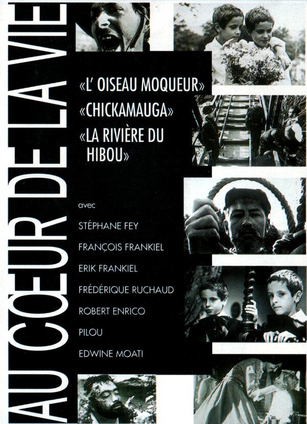 Постер Au coeur de la vie