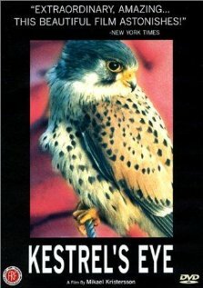 Постер Глаз сокола