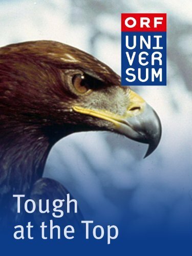 Постер Tough at the Top