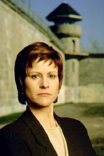 Постер The Warden