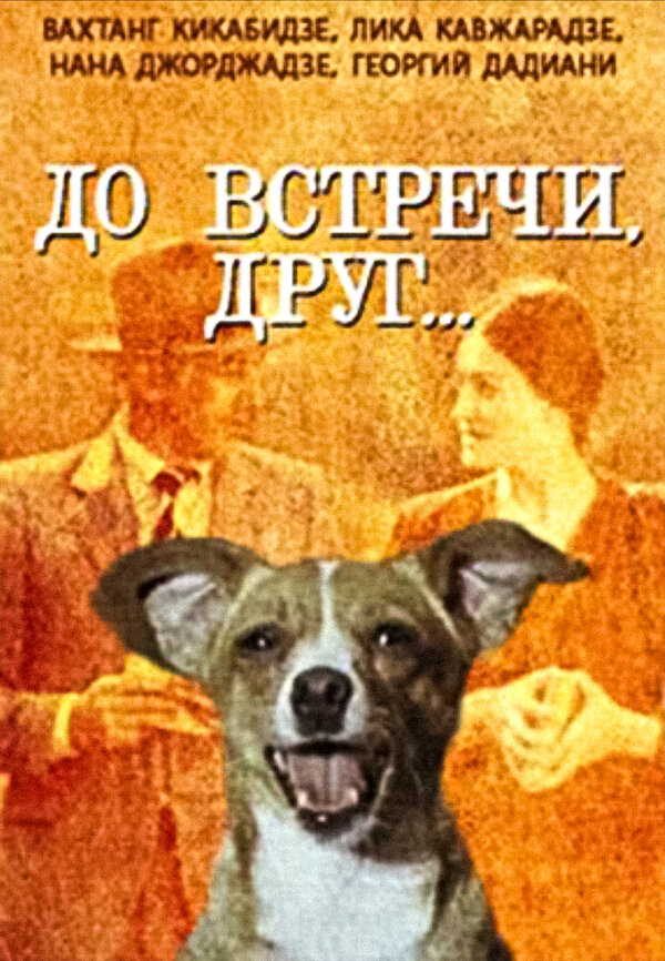 Постер До встречи, друг...