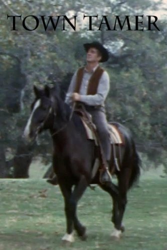 Постер Городской укротитель