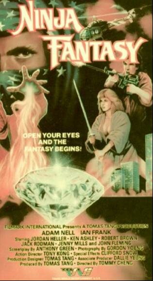 Постер Ninja Fantasy
