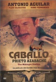 Постер Caballo prieto azabache