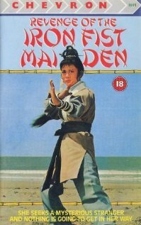 Постер Gai shi quan