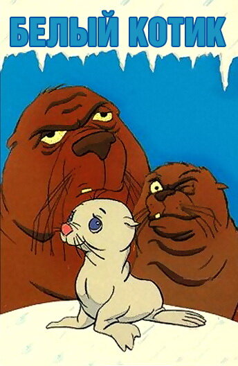 Постер Белый котик