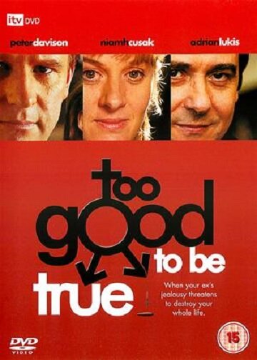 Постер Too Good to Be True