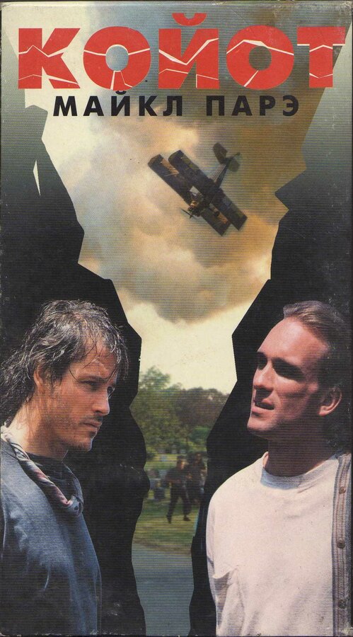 Постер Койот