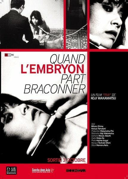 Постер Эмбрион охотится тайно