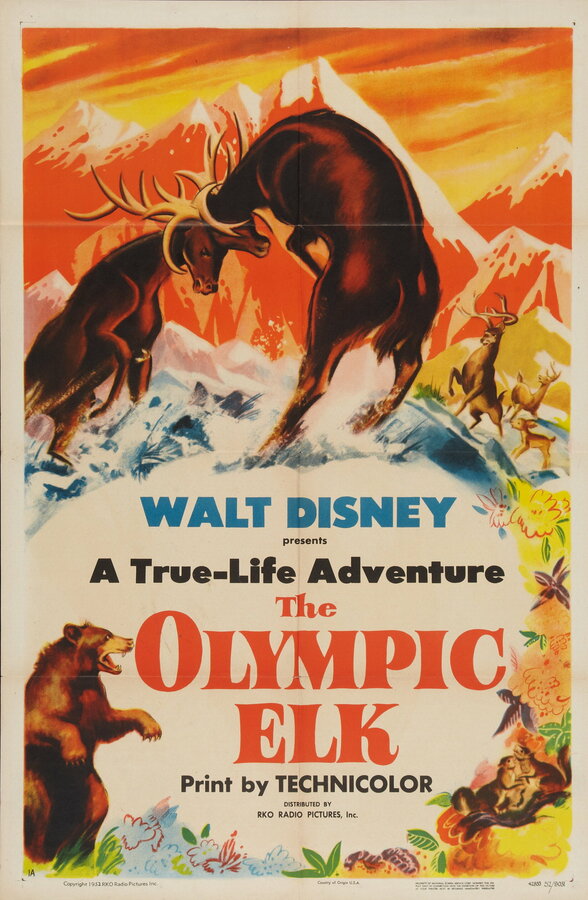 Постер The Olympic Elk