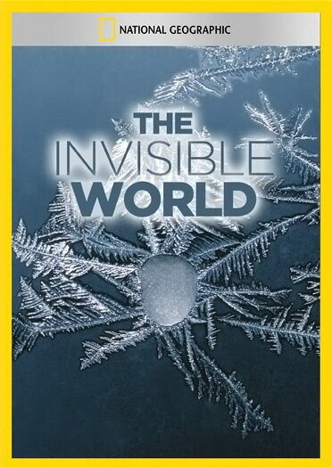 Постер National Geographic: The Invisible World