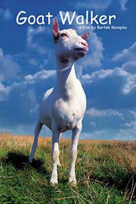 Постер Баллада о козе