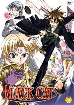 Постер Черный кот