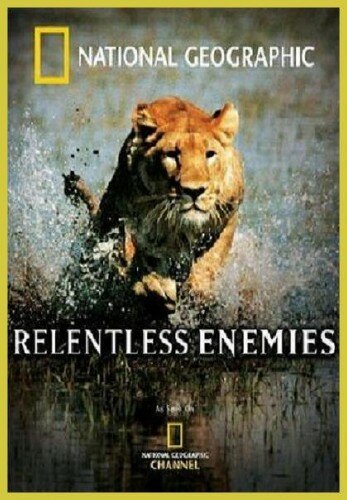 Постер Непримиримые противники