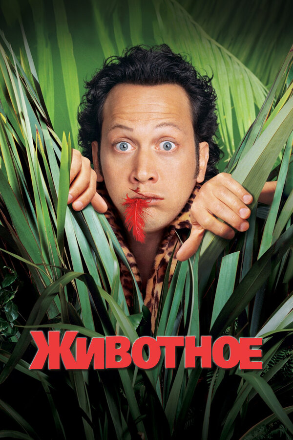 Постер Животное