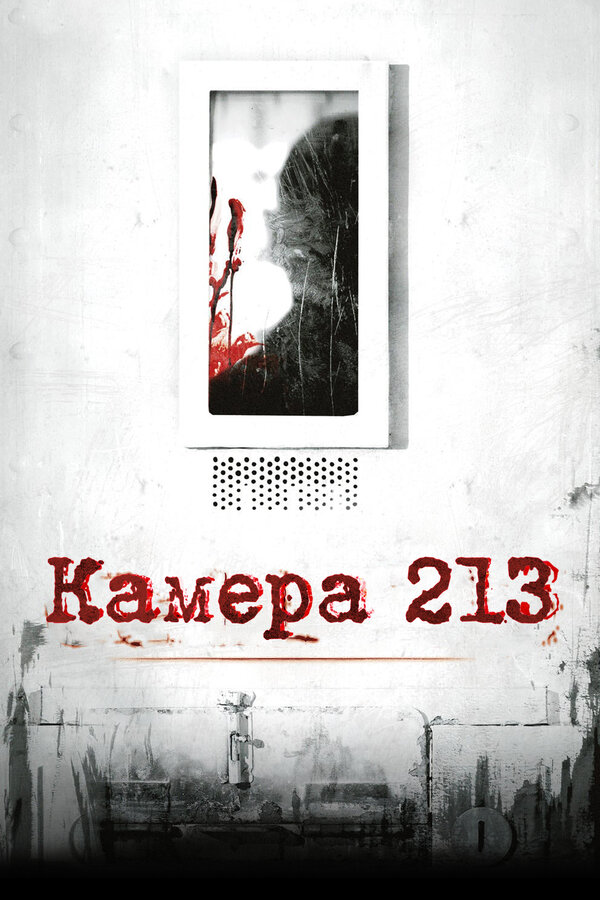 Постер Камера 213