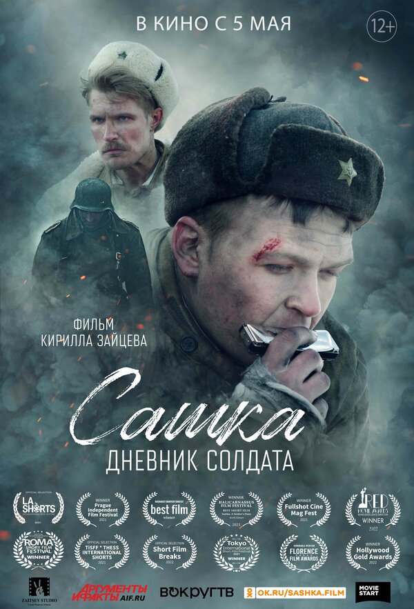 Постер Сашка. Дневник солдата