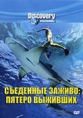 Постер Discovery: Съеденные заживо. Пятеро выживших
