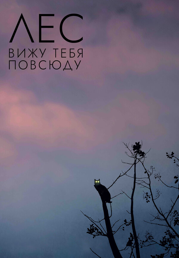 Постер Лес: Вижу тебя повсюду