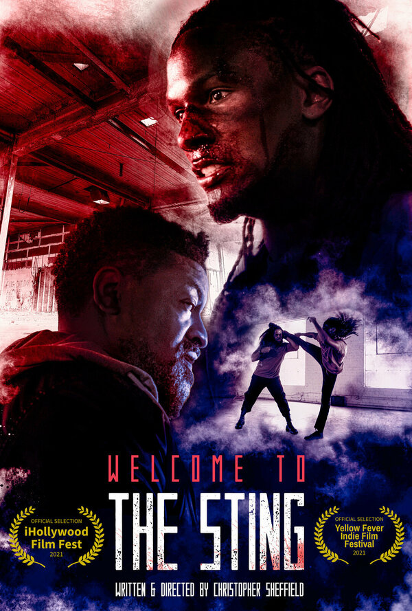 Постер Welcome to the Sting