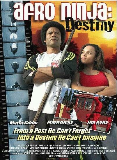 Постер Afro Ninja