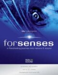 Постер Senses