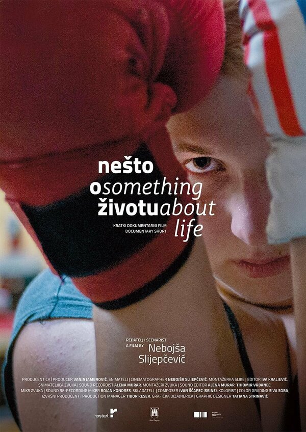 Постер Nesto o zivotu