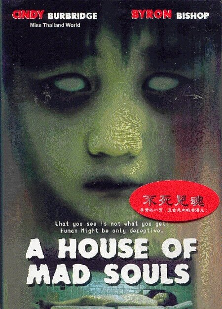 Постер Дом безумных душ