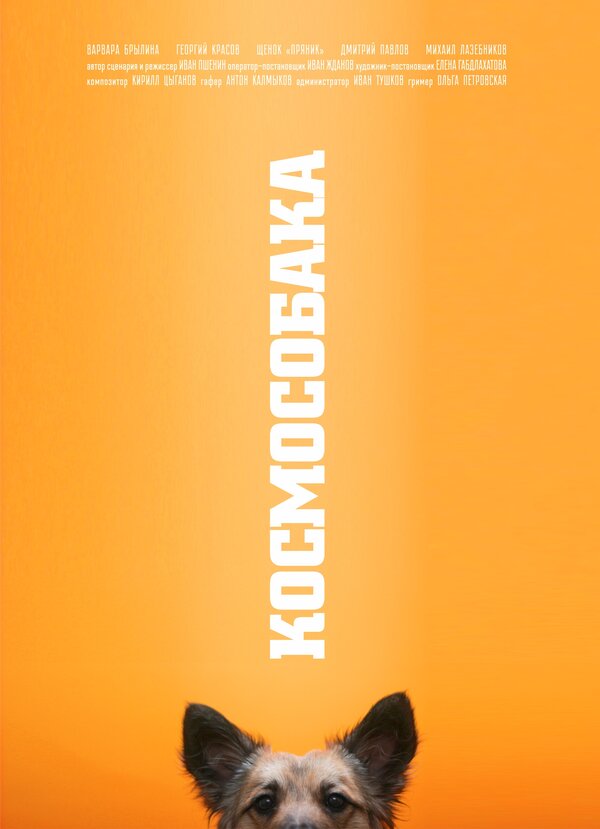 Постер Космособака