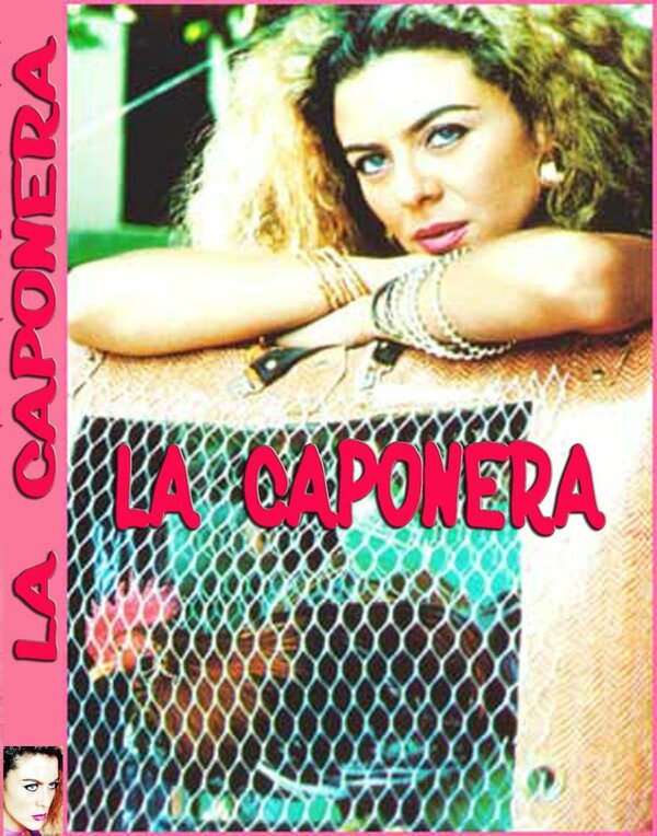 Постер Петушиные бои