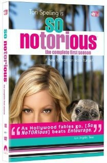 Постер Столь изВЕСТный