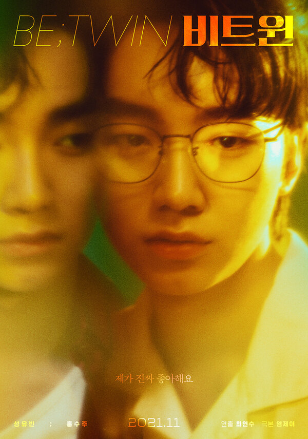 Постер Между близнецами