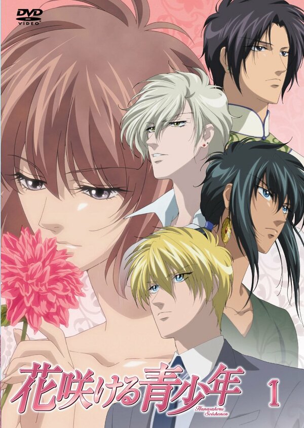 Постер Цветущая юность