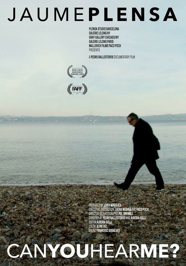 Постер Вы меня слышите?