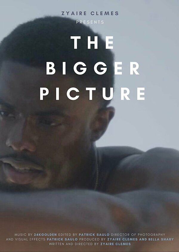 Постер The Bigger Picture