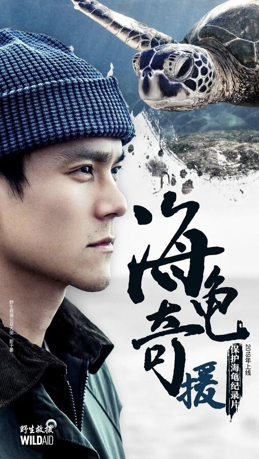 Постер Между морем и берегом