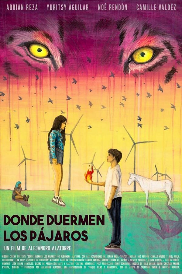 Постер Там, где спят птицы