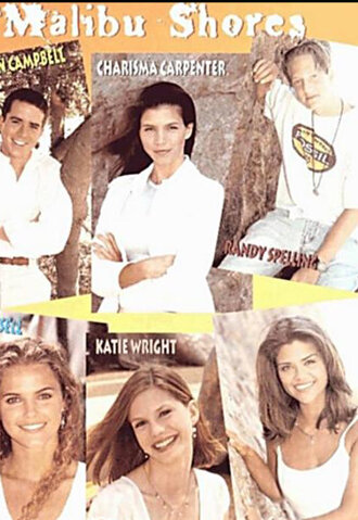 Постер Побережье Малибу