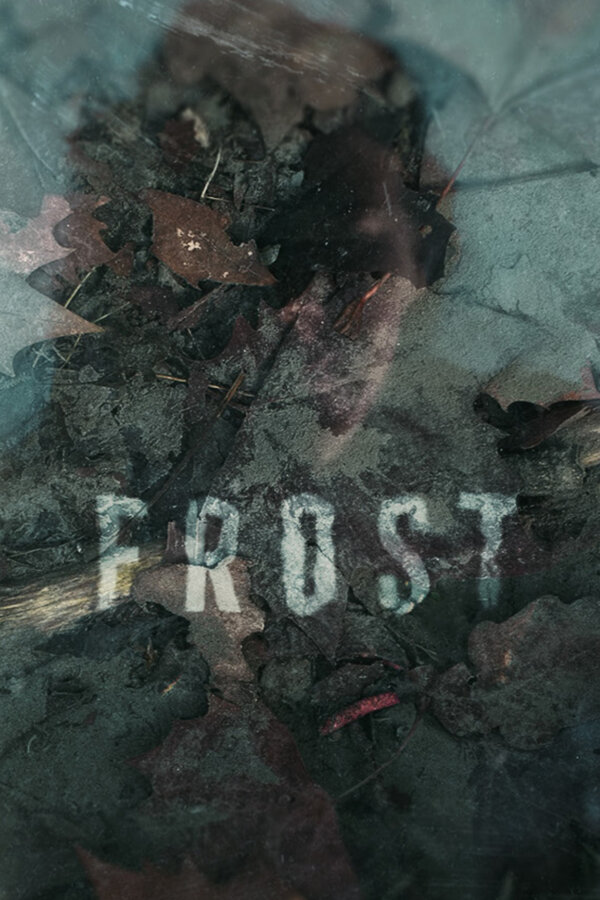 Постер Мороз