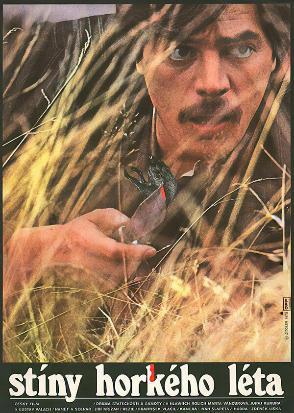 Постер Тени знойного лета