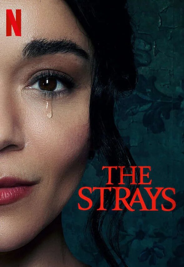 Постер Бродяги