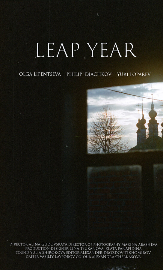 Постер Високос