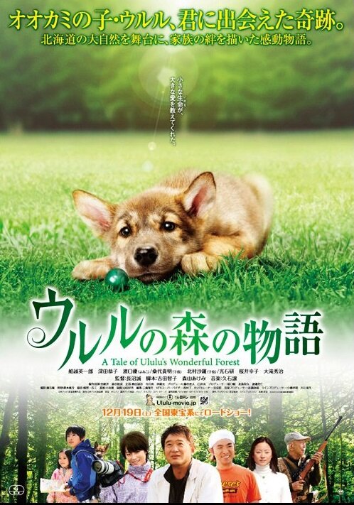 Постер Чудесный лес Улулу