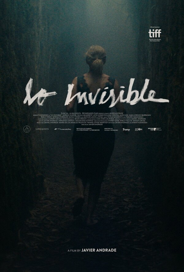 Постер Lo invisible