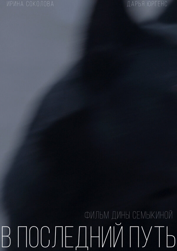 Постер В последний путь